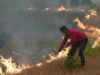Devastadores incendios forestales obligan a la evacuación de más de 360.000 personas en Francia y España