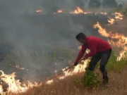Devastadores incendios forestales obligan a la evacuación de más de 360.000 personas en Francia y España