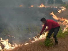 Devastadores incendios forestales obligan a la evacuación de más de 360.000 personas en Francia y España