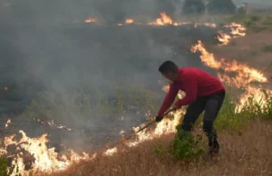 Devastadores incendios forestales obligan a la evacuación de más de 360.000 personas en Francia y España