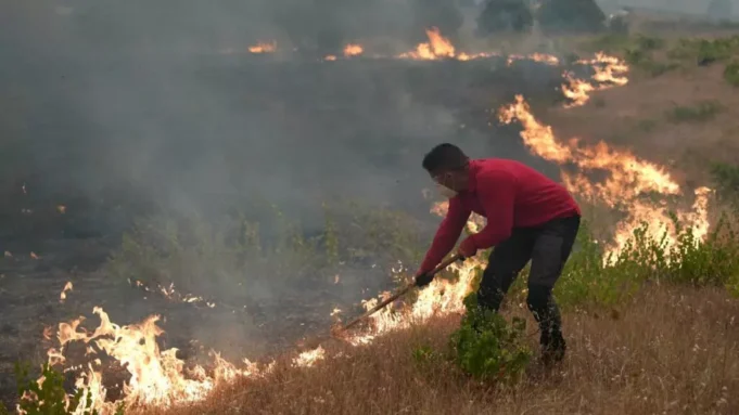 Devastadores incendios forestales obligan a la evacuación de más de 360.000 personas en Francia y España