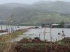 Ver: Columna de Hugo Rodriguez. ¿INUNDACIONES SIN LUZ Y SIN AGUA ES SOLO CULPA DE LA LLUVIA?