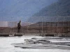 Continúa récord mundial de trabajadores muertos de la industria salmonera en Chile: Nueva tragedia enluta a la Patagonia aysenina