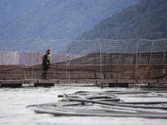 Continúa récord mundial de trabajadores muertos de la industria salmonera en Chile: Nueva tragedia enluta a la Patagonia aysenina