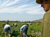 Los 11 indicadores de la OIT para identificar trabajo forzoso