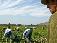 Los 11 indicadores de la OIT para identificar trabajo forzoso