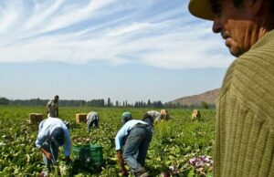 Los 11 indicadores de la OIT para identificar trabajo forzoso