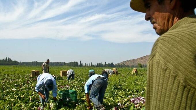 Los 11 indicadores de la OIT para identificar trabajo forzoso