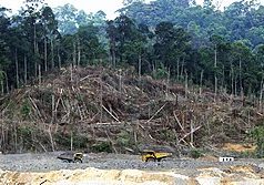 LA GOBERNANZA CRIMINAL Y EL COLAPSO ECOLÓGICO