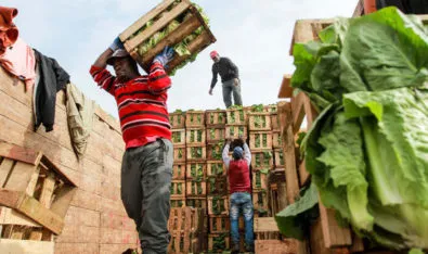 Ver: Columna de Patricio Guzman S. «Chile y el trabajo forzado»
