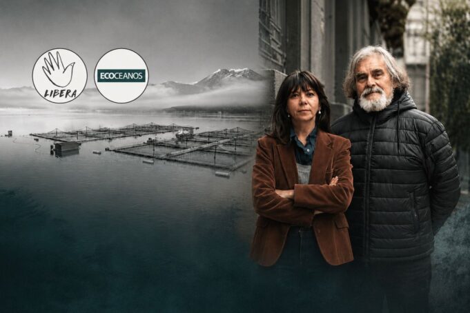 Amplia condena nacional e internacional a campaña de amedrentamiento contra Fundación Libera y Ecoceanos por denunciar trabajo forzado en Chile