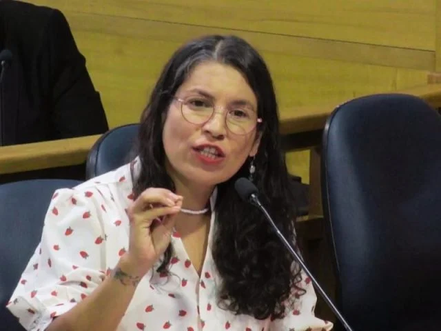 abogada-karina-riquelme-640x480