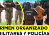 La doctrinita: seguridad pública como excusa, control social como objetivo