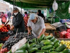 Chile – Más de 6000 jóvenes profesionales trabajan actualmente en las ferias del país