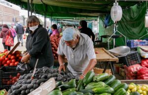 Chile – Más de 6000 jóvenes profesionales trabajan actualmente en las ferias del país