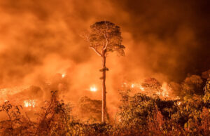 La Amazonía se precipita hacia un punto de no retorno