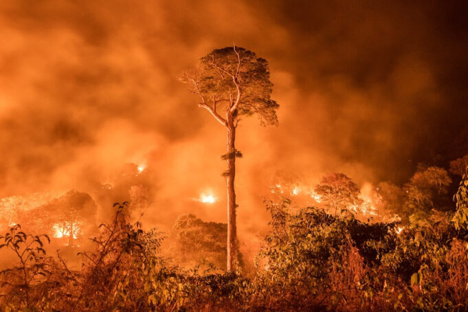 La Amazonía se precipita hacia un punto de no retorno