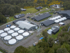 Nueva muerte de trabajador del salmón: Cae a estanque con químicos en empresa noruega en Chiloé