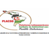 DECLARACIÓN DE LA PLATAFORMA LATINOAMERICANA Y CARIBEÑA EN SOLIDARIDAD CON EL PUEBLO SAHARAUI