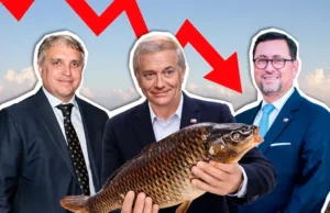 La fallida estrategia salmonera para evitar arancel presionando a Washington con abastecimiento alimentario