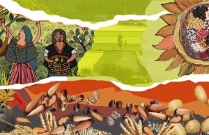Chile – Mujeres mapuche y huerteras del Lavkemapu rechazan resolución del SAG por amenazar la semilla tradicional y el travkintu