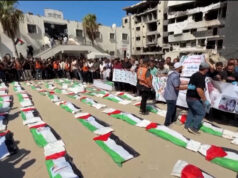 Más de 74.000 palestinos han muerto en la guerra de Israel contra Gaza desde octubre de 2023