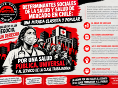 Determinantes sociales de la salud y salud de mercado en Chile: una mirada clasista y popular