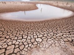 Chile, un país al límite. Agua, cobre, litio y océanos: anatomía de una crisis ecológica. Por Patricio Arenas