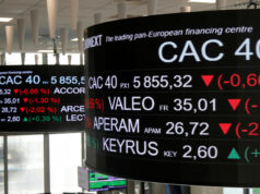 ¿Cuál es la estrategia de los capitalistas franceses?