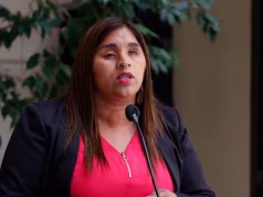 Declaración Pública Senadora Fabiola Campillai Rojas